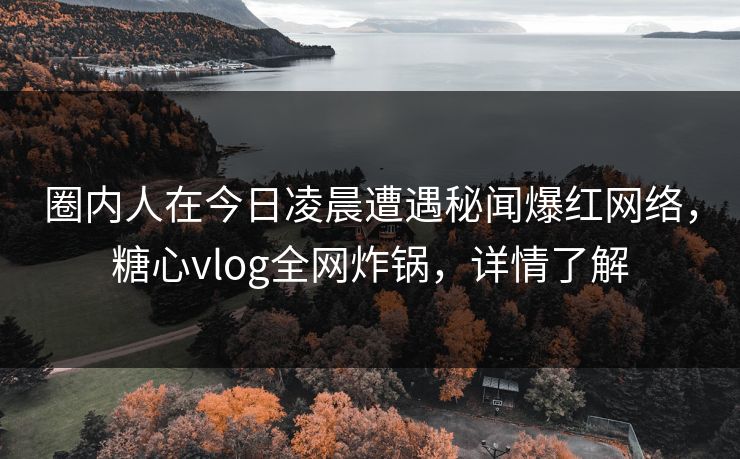 圈内人在今日凌晨遭遇秘闻爆红网络,糖心vlog全网炸锅,详情了解 圈内人在今日凌晨遭遇秘闻爆红网络,糖心vlog全网炸锅,详情了解