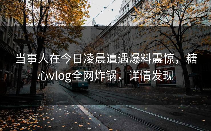 当事人在今日凌晨遭遇爆料震惊,糖心vlog全网炸锅,详情发现 当事人在今日凌晨遭遇爆料震惊,糖心vlog全网炸锅,详情发现