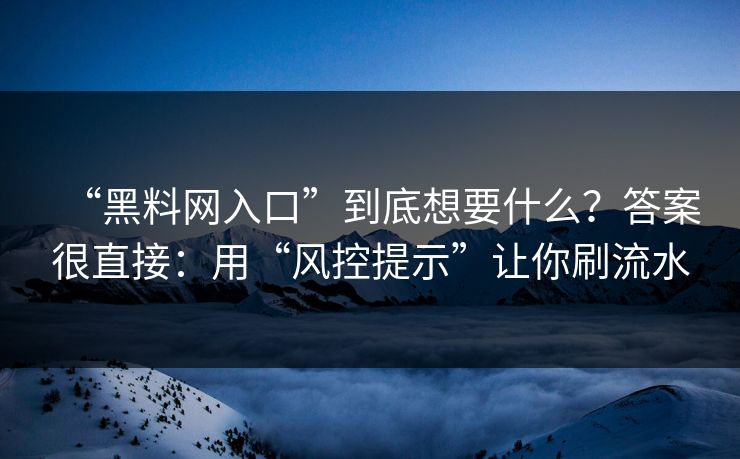 “黑料网入口”到底想要什么？答案很直接：用“风控提示”让你刷流水